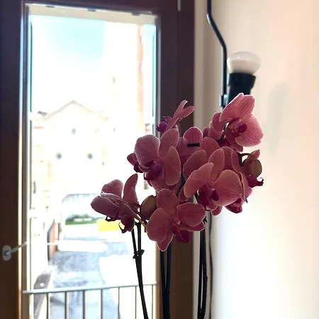 San Francesco Appartement
